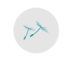localfuneral logo img icon